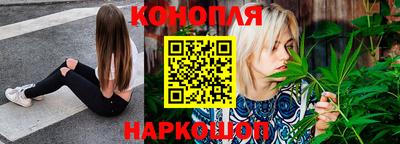гашик Малгобек