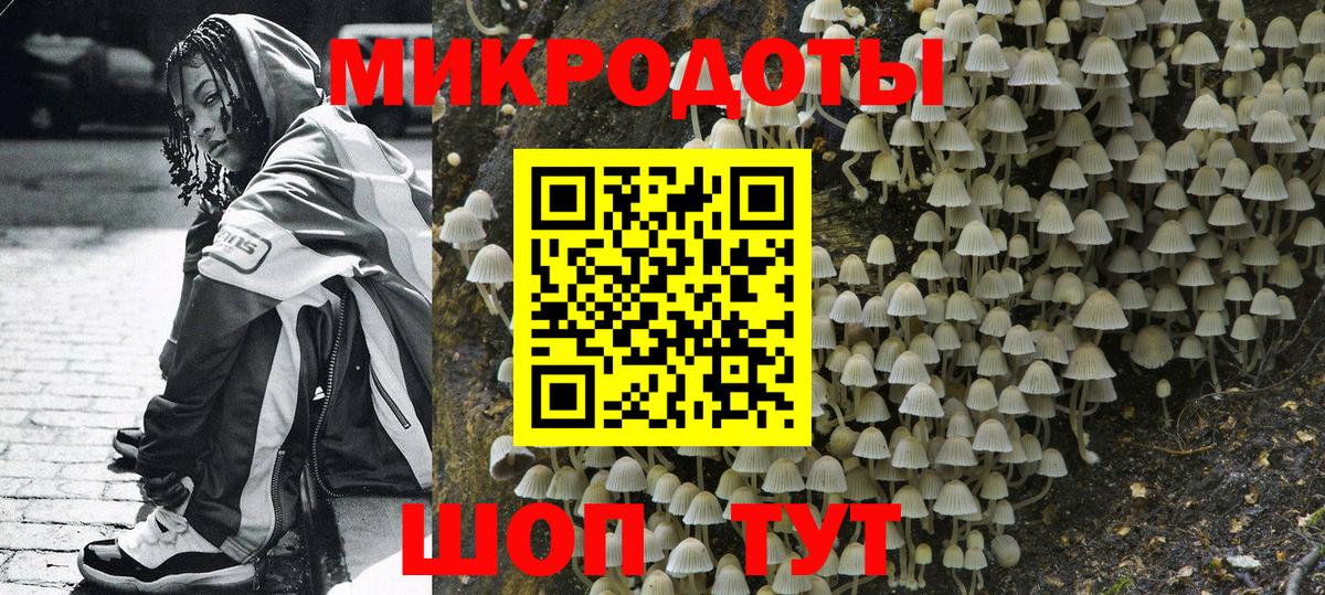 Псилоцибиновые грибы мицелий Тимашёвск